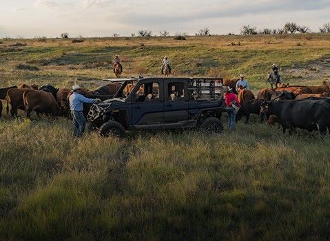 Explore Ranching Side-by-Sides & UTVs.