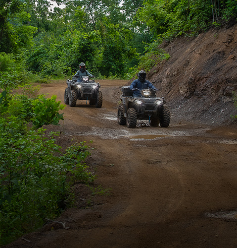 Find quads for Trail Riding.