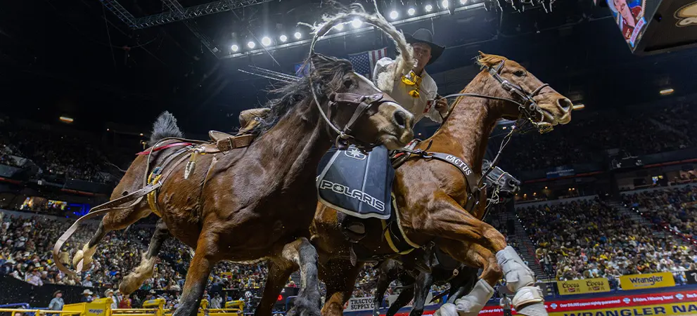 Two harnessed horses pulling in a rodeo arena under bright stadium lights, with a large audience filling the stands.