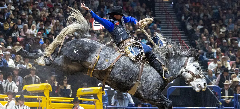 Bronco rider atop a bucking gray horse mid-action in a rodeo arena, with crowd and event equipment in the background.