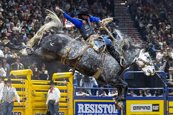 Bronco rider atop a bucking gray horse mid-action in a rodeo arena, with crowd and event equipment in the background.