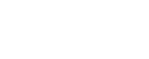 Polaris RZR logo.