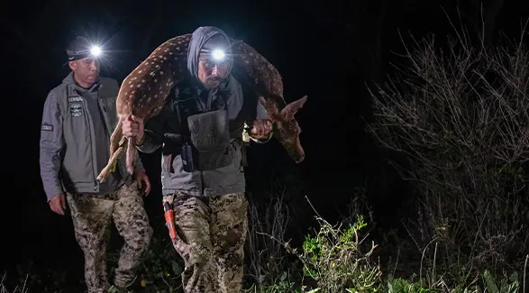 Two men using headlamps harvest venison at night, with one carrying a deer over his shoulders through the dark brush.