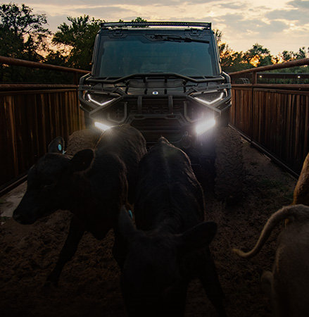 Read Cattle Ranching with Polaris article.
