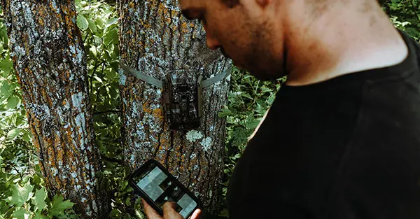 a man linking the camera placed on a tree to his cellphone