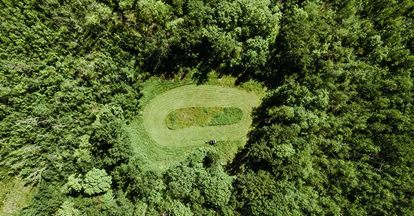 Top view of a Ranger XP 1000 Northstar Edition Ultimate in a green field