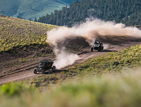 RZR edición Trails and Rocks en el bosque