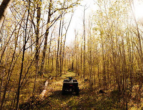 Rear view of an ATV parked on a trail surrounded by trees