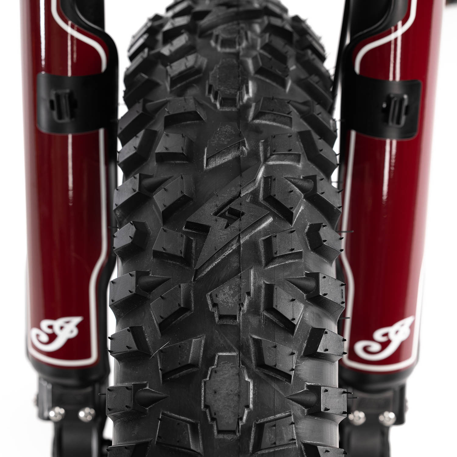 Electric Bike eFTR Hooligan 1.2 | Indian Motorcycle Electric Bike eFTR Hooligan 1.2 | Indian Motorcycle