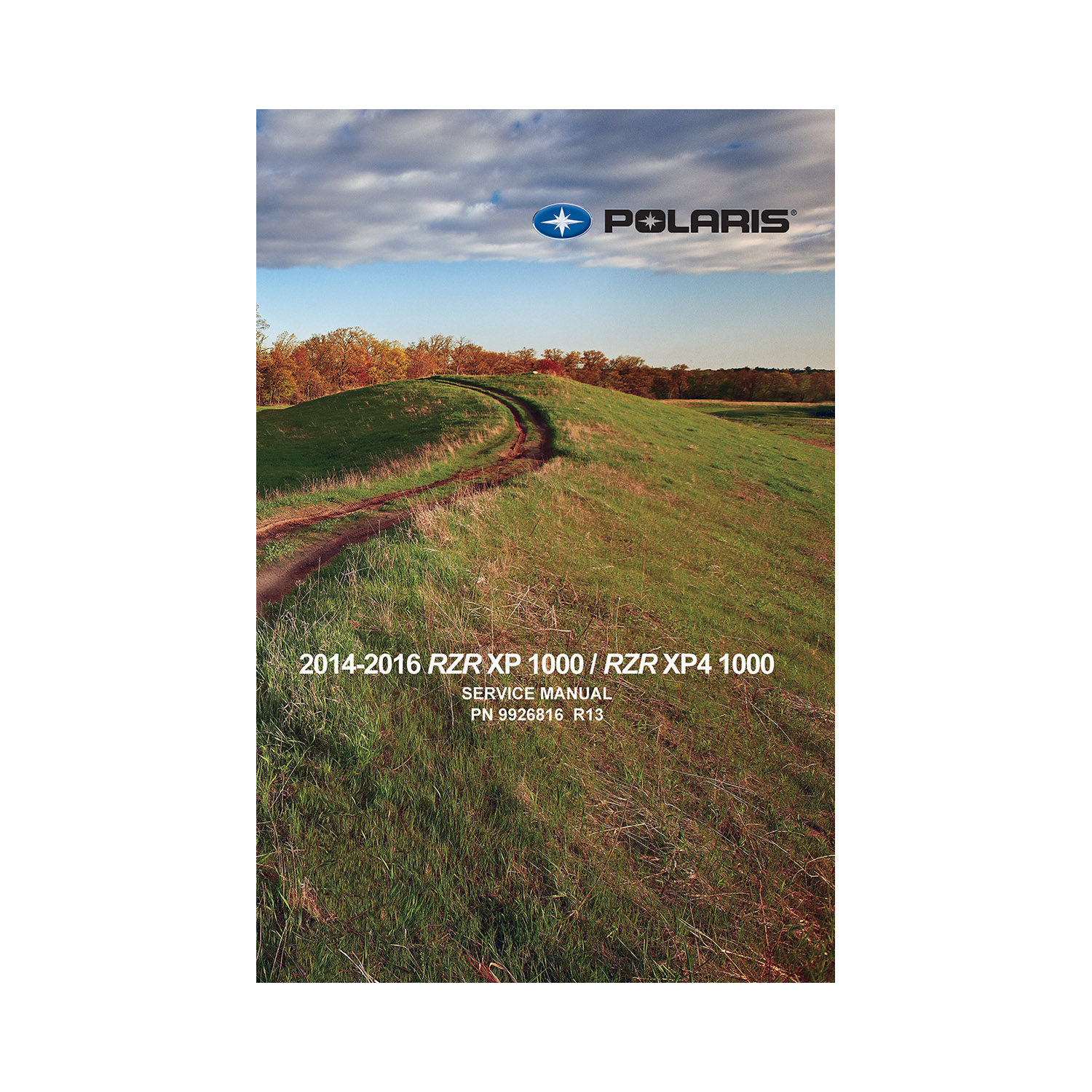 2014 POLARIS RZR 1000 SERVICE MANUAL PDF visual data 5