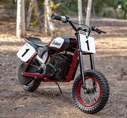 An eFTR mini bike standing on the forest
