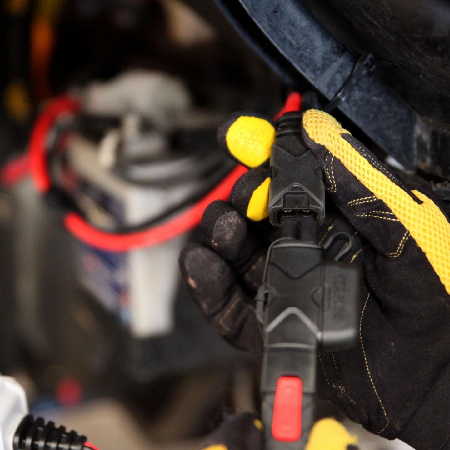 Boost Eyelet Cable with X-Connector Adapter, Part 2830546 | Indian