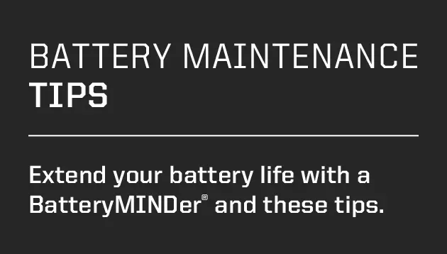 V&eacute;ritable Polaris Nombre De Partie 4011138 - Battery-sealed