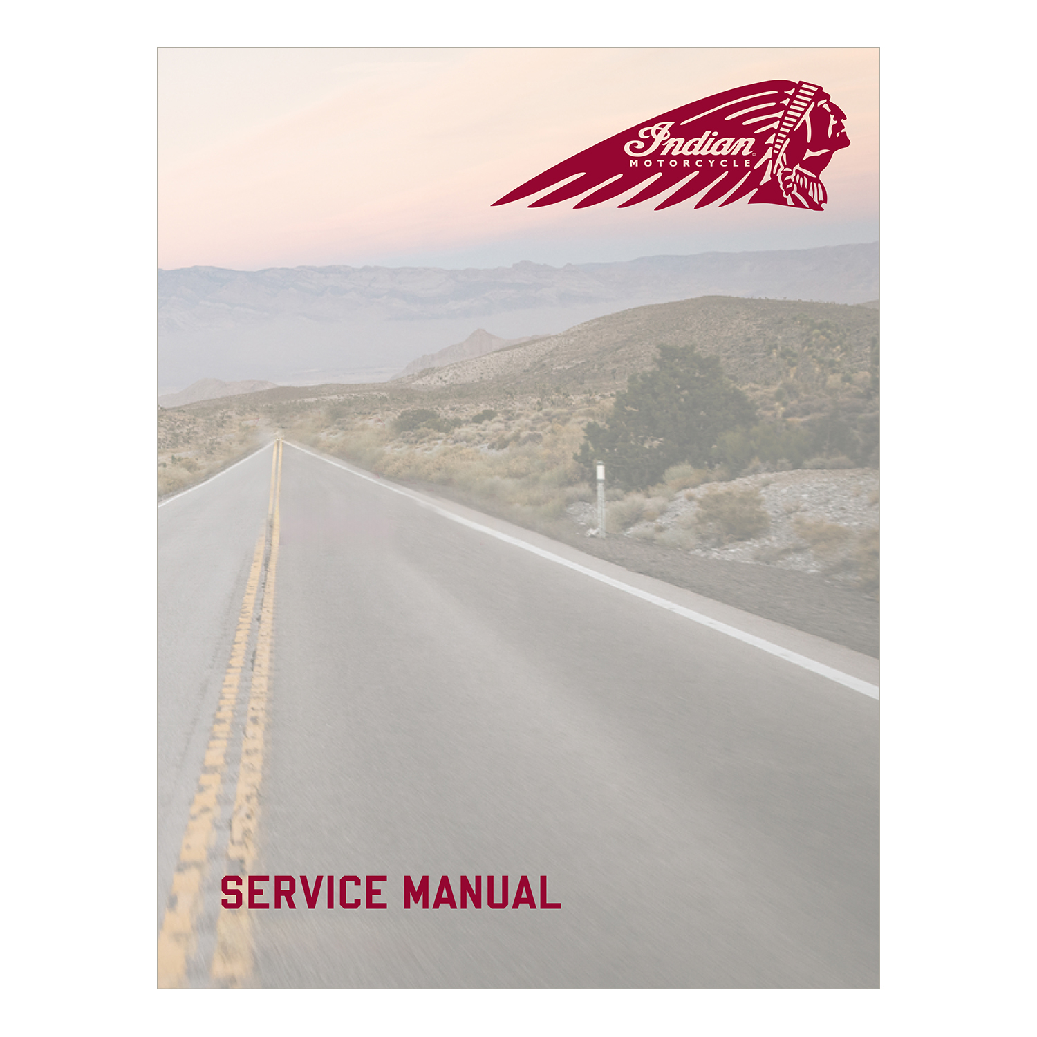 2018-2024 Indian Motorcycle Scout Service Manual | Indian Motorcycle