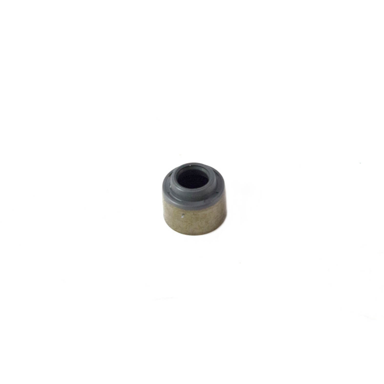 Valve Stem Seal Replacement - Fits Polaris Part Numbers 3084859 ...