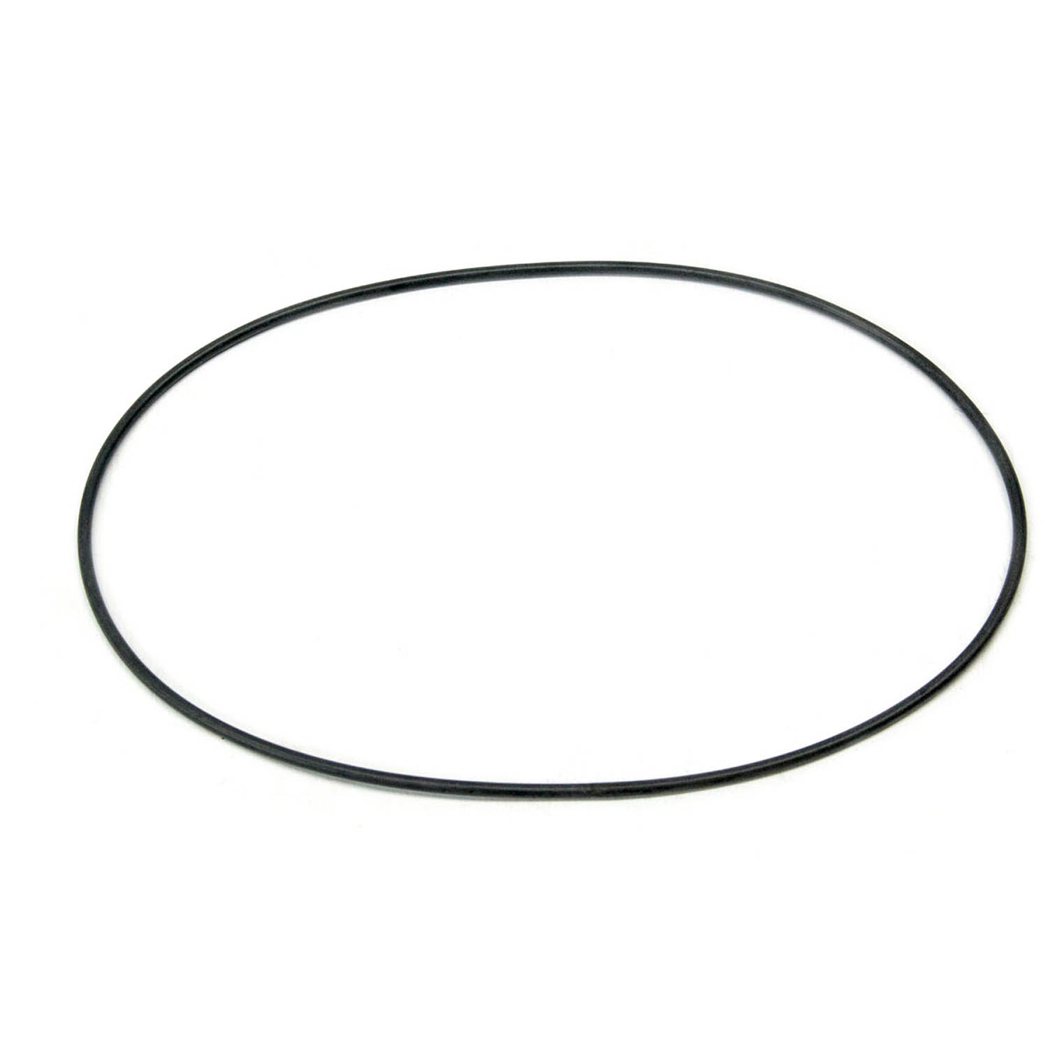 アクセサリー otti Hollow O-Ring Seal, .125, Part 5411862 | Polaris Sportsman