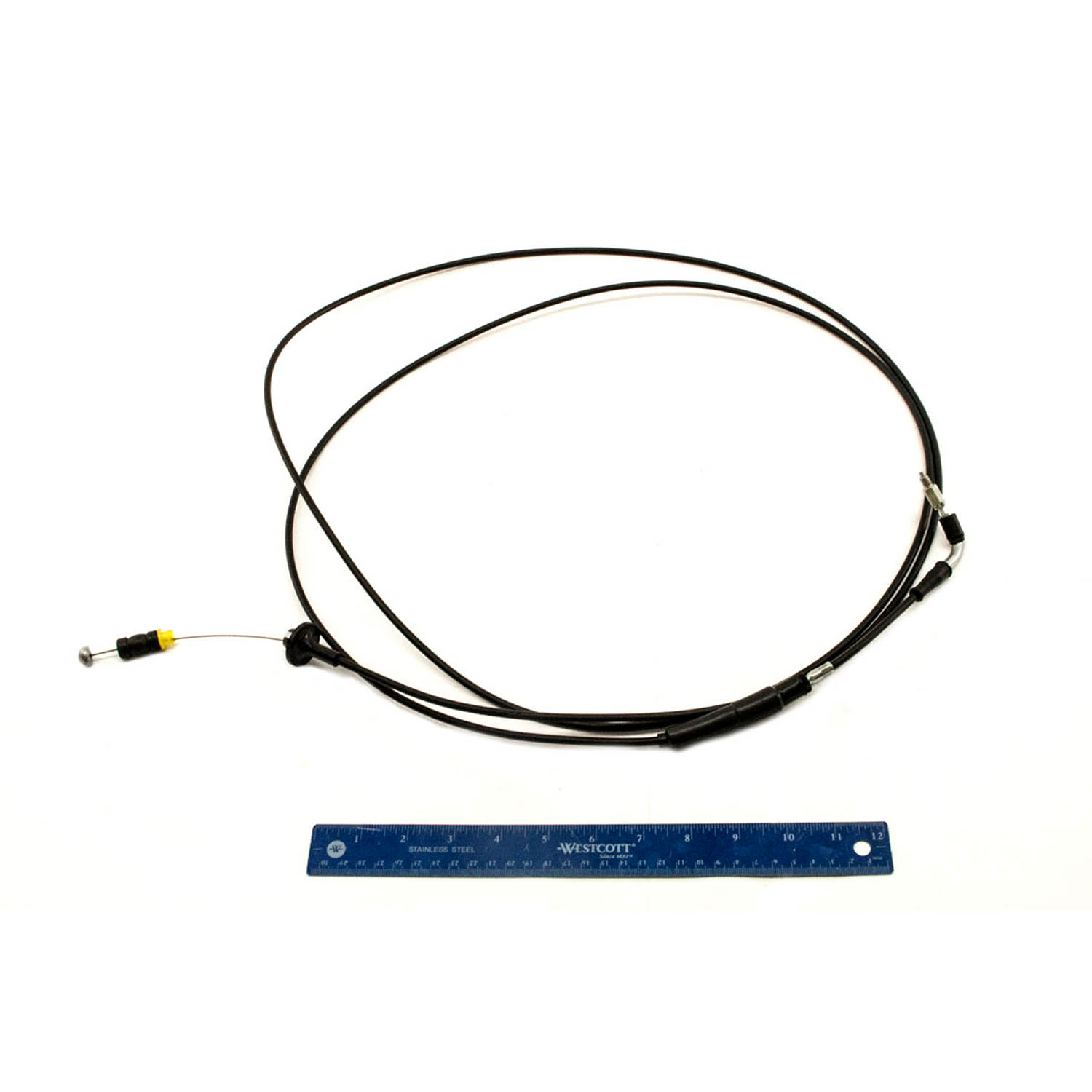 るる 15mis_c-cbl-0335_2_grande.jpg?