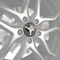 Slingshot Wheel Caps - Matte Black