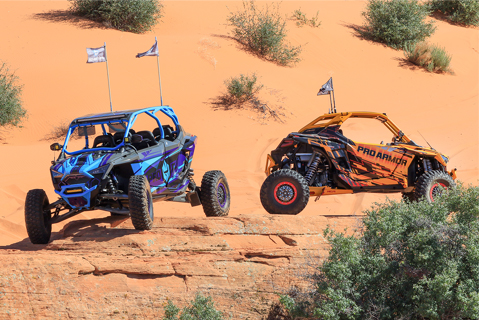Pro Bilt Custom UTV - Custom RZR SxS | Pro Armor