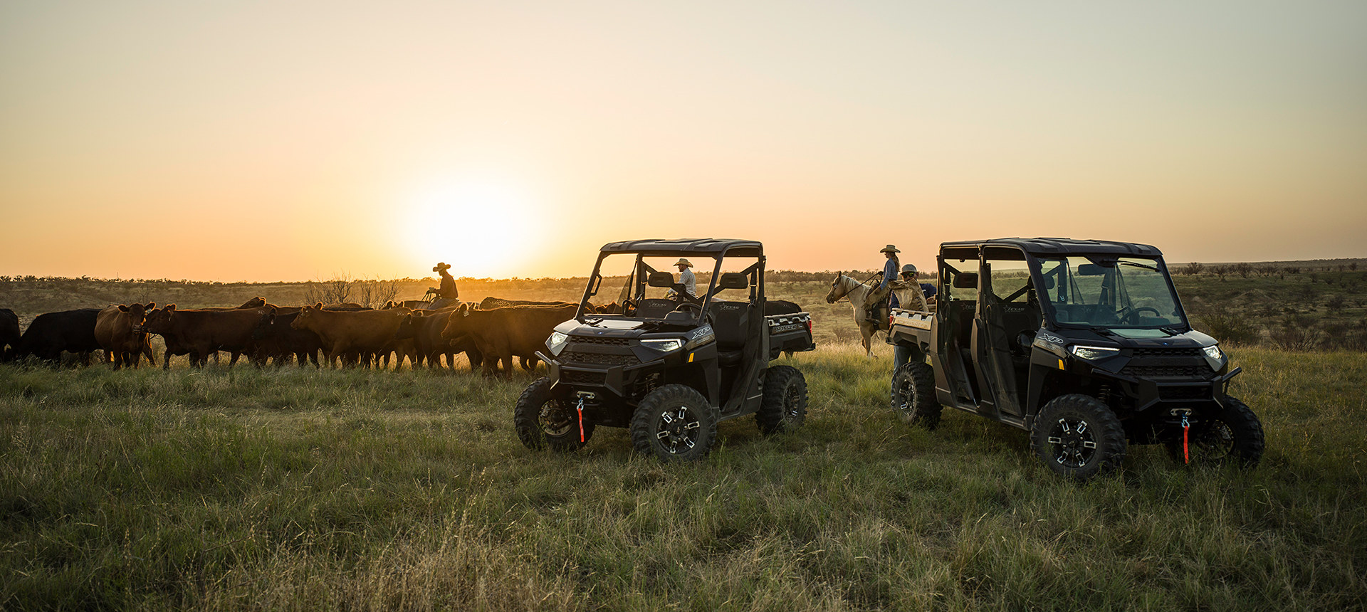 RANGER XP 1000 Texas Edition