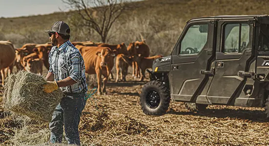 homme qui nourrit des vaches devant son Ranger Crew XP 1000 édition NorthStar