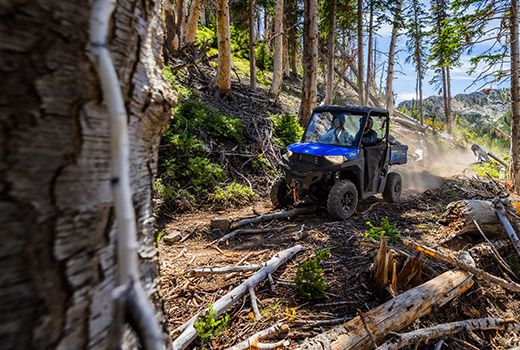 RZR 570 going down a green trail road