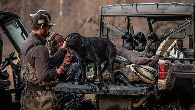 hunter getting his dog out of the cargo box of his polaris ranger xp 1000 waterfowl edition utv
