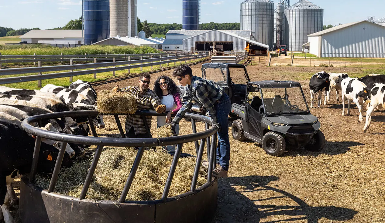 family feeding square bales to cattle near their RANGER UTVs