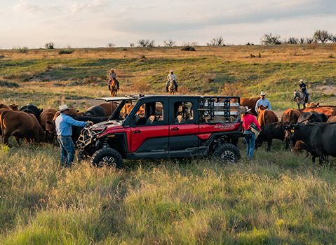 2024 Polaris RANGER XD 1500 NorthStar Edition UTV EN-CA