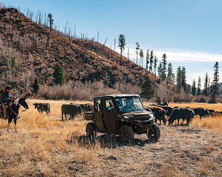 2025 Polaris RANGER CREW XP 1000 Texas Edition UTV