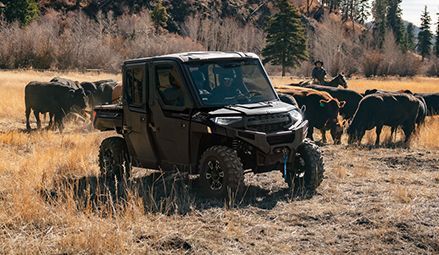 A 2026 Polaris RANGER CREW XP 1000 NorthStar Texas Edition UTV in a field with cattle.