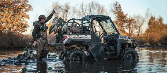 Waterfowl Collection