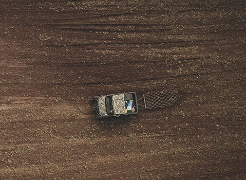 Planting for Fall Hunting Success