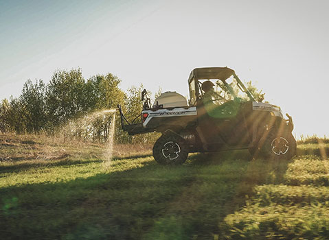The Easy Way to a Beautiful Lawn
