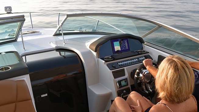 Pic of person piloting 290EX boat