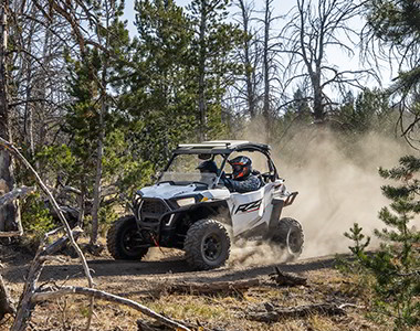 RZR Trail in the woods