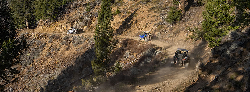 RZR Trail in the woods