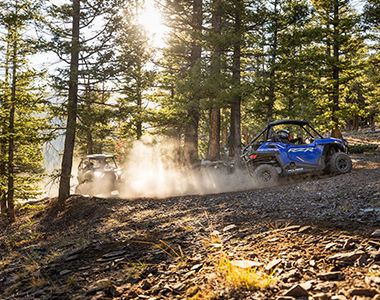 RZR Trail in the woods