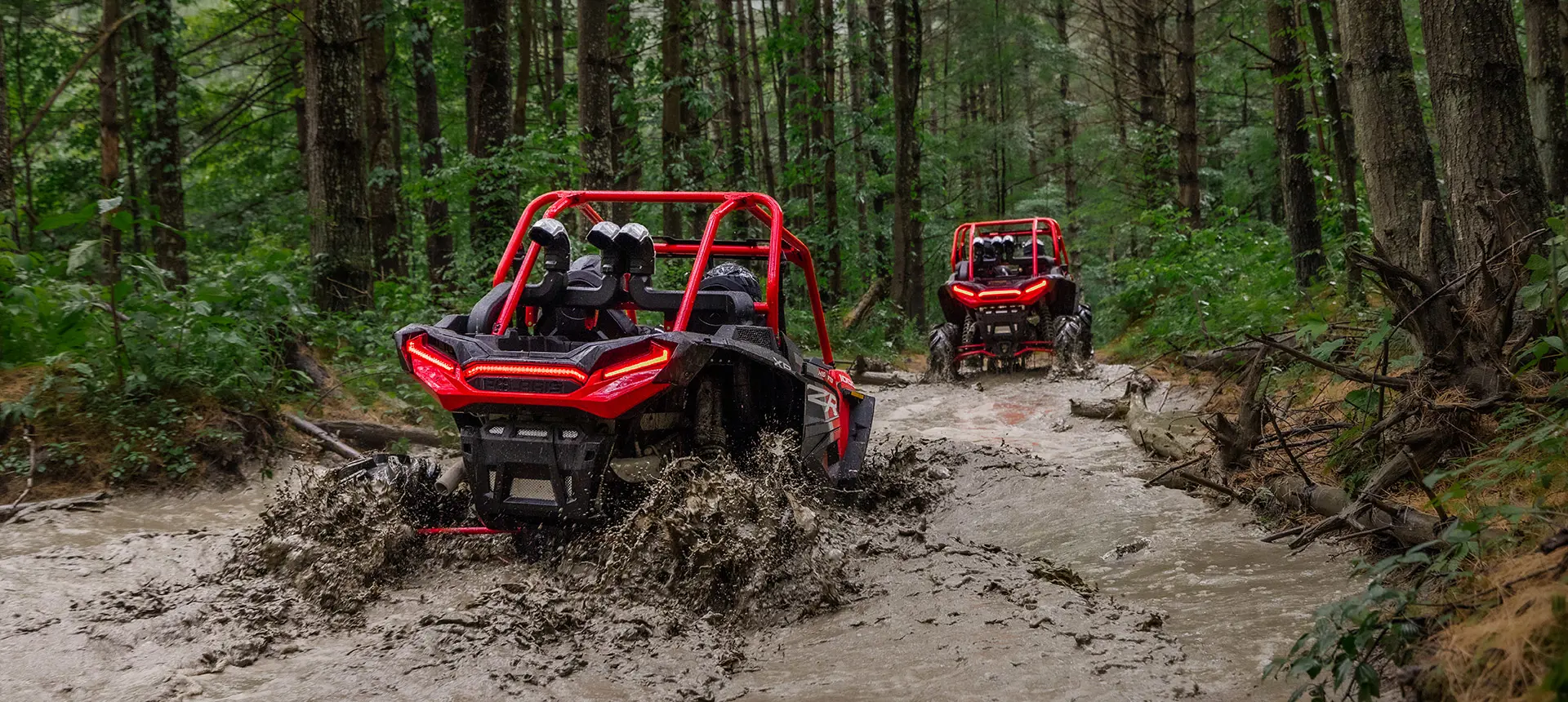 Ediciones especiales del RZR