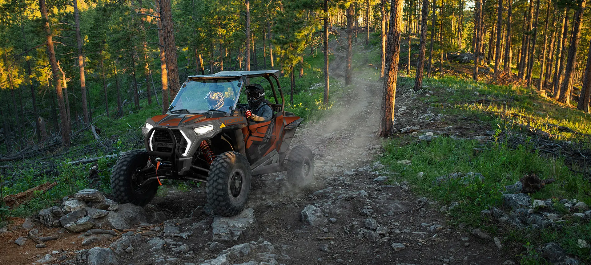 Ediciones especiales del RZR