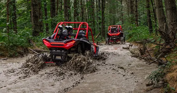 Ediciones especiales del RZR
