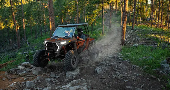 Ediciones especiales del RZR