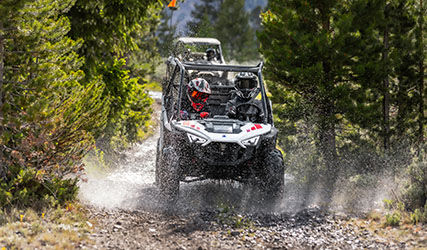 RZR 200 independent rear suspension in action. 
