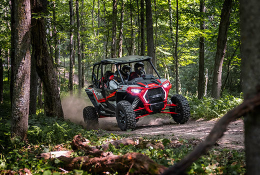 RZR Trail in the woods