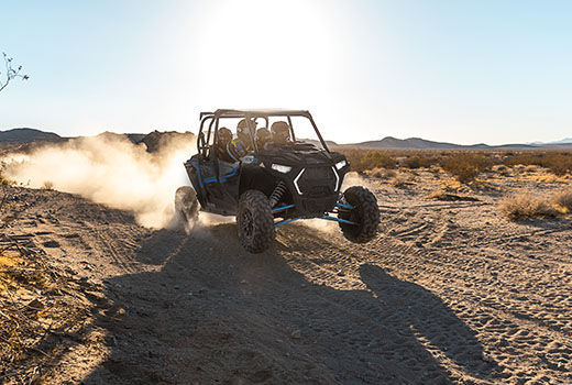 RZR Trail in the woods