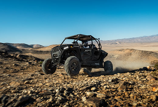 RZR Trail in the woods