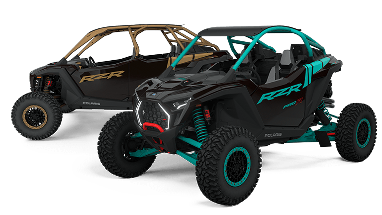 Polaris dune buggy for sale on sale