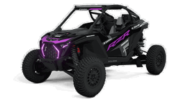 Specs: 2025 Polaris RZR Pro R Race Replica Edition Podium Purple