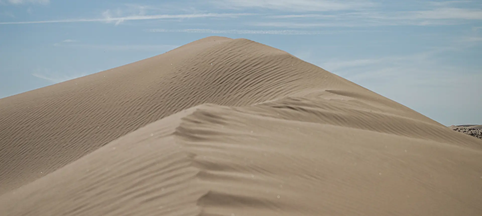 Course RZR Dakar