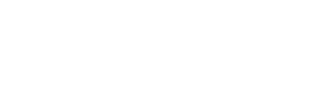 RZR Racing logo.